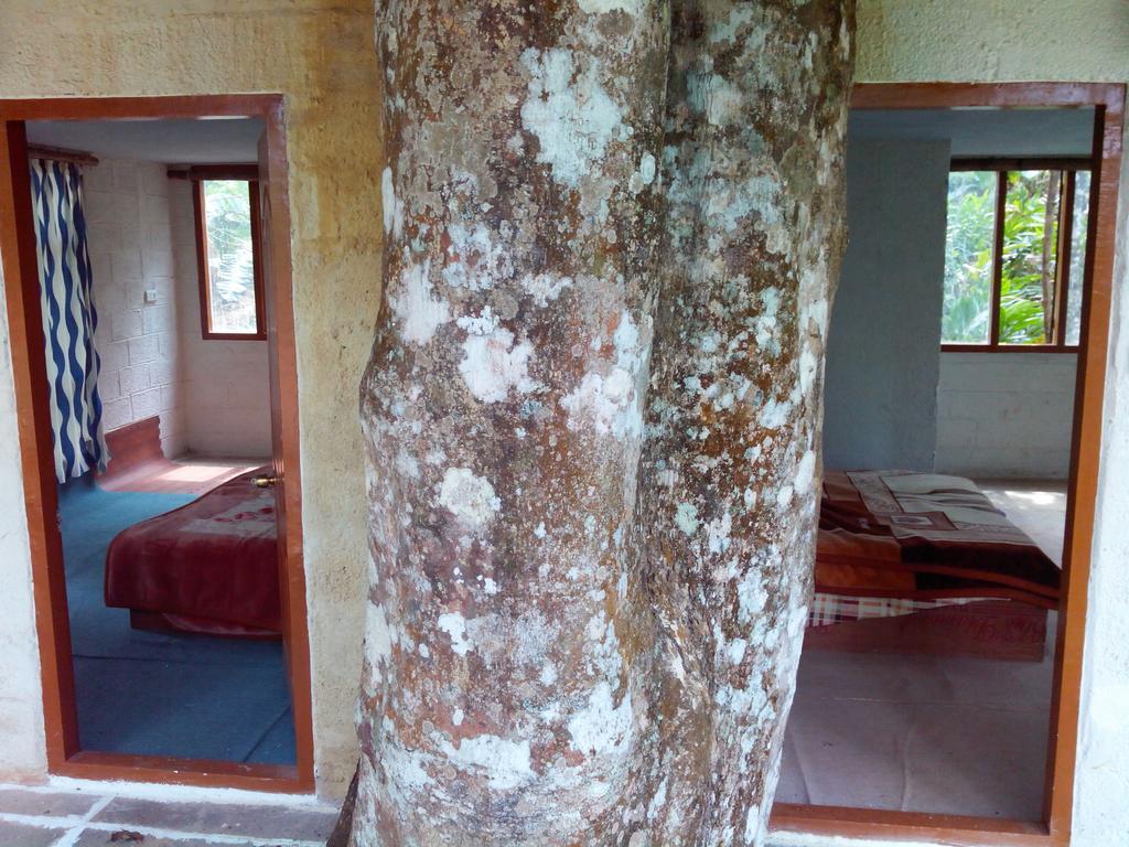 Jungle Jive Tree House Munnar Bed and Breakfast Εξωτερικό φωτογραφία