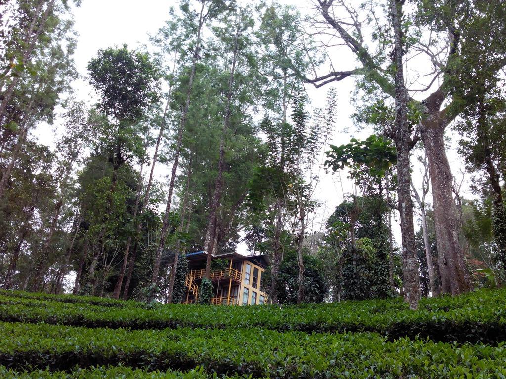 Jungle Jive Tree House Munnar Bed and Breakfast Εξωτερικό φωτογραφία