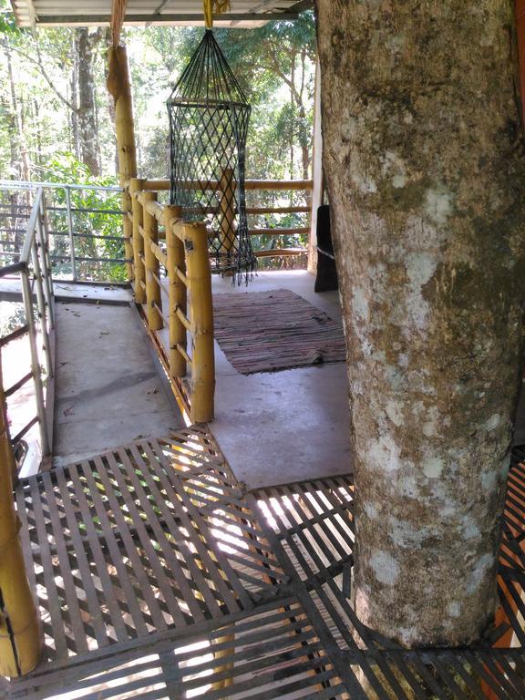 Jungle Jive Tree House Munnar Bed and Breakfast Εξωτερικό φωτογραφία