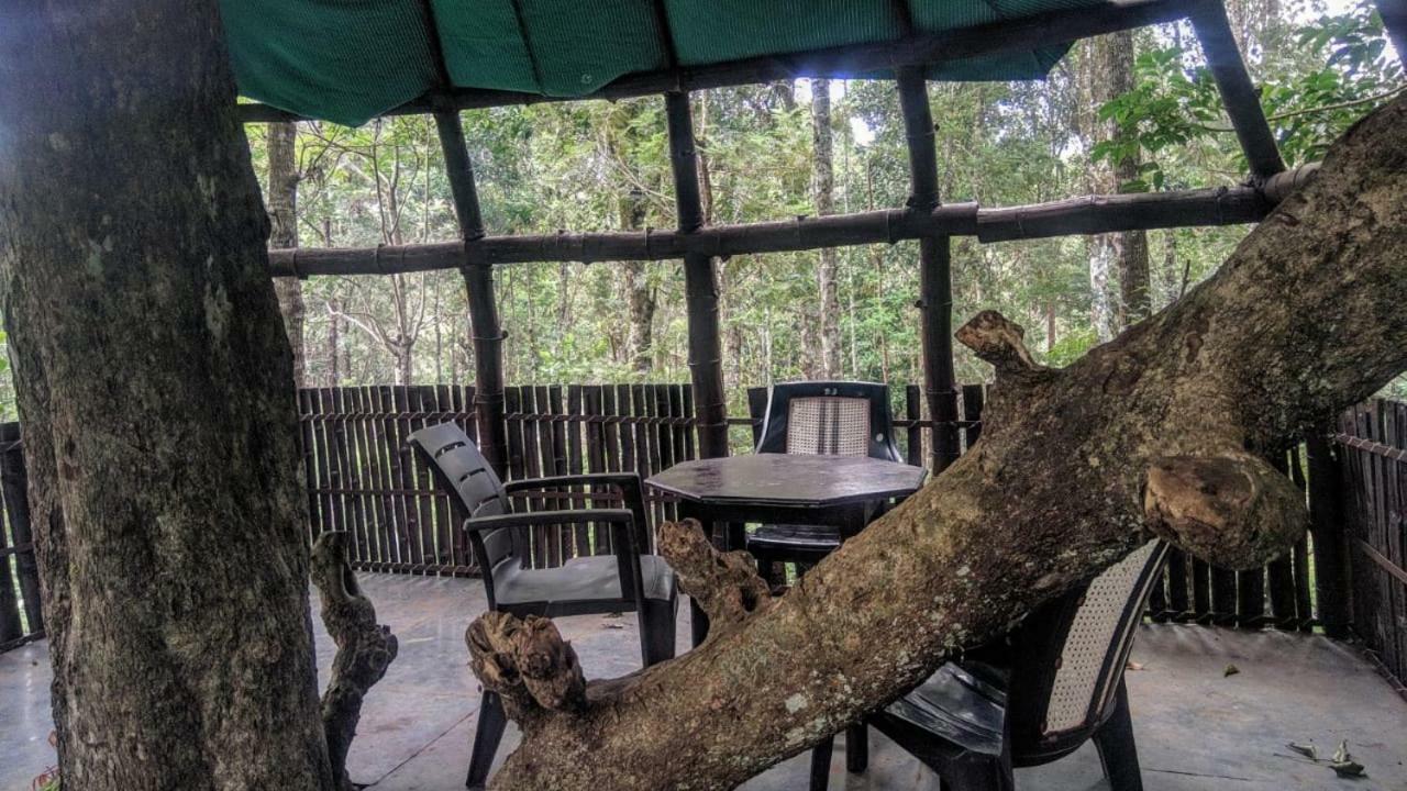Jungle Jive Tree House Munnar Bed and Breakfast Εξωτερικό φωτογραφία