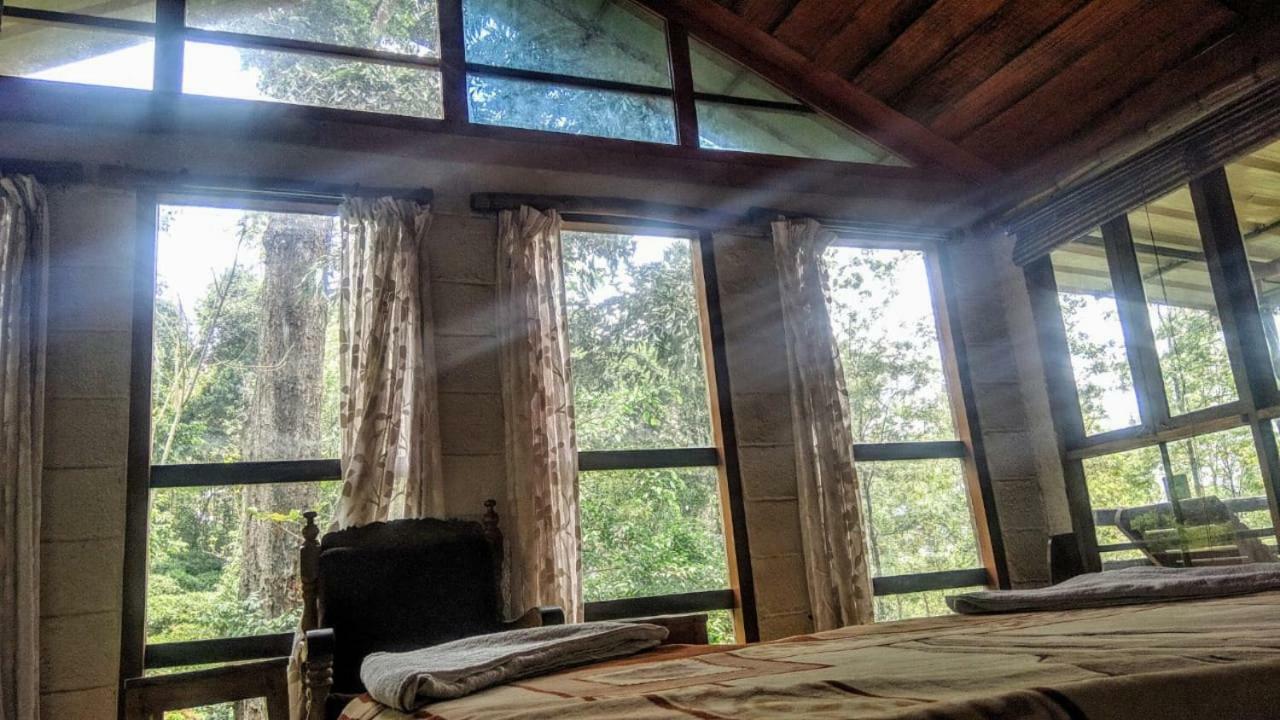 Jungle Jive Tree House Munnar Bed and Breakfast Εξωτερικό φωτογραφία