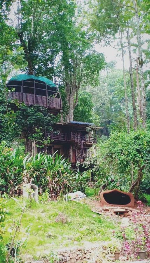 Jungle Jive Tree House Munnar Bed and Breakfast Εξωτερικό φωτογραφία